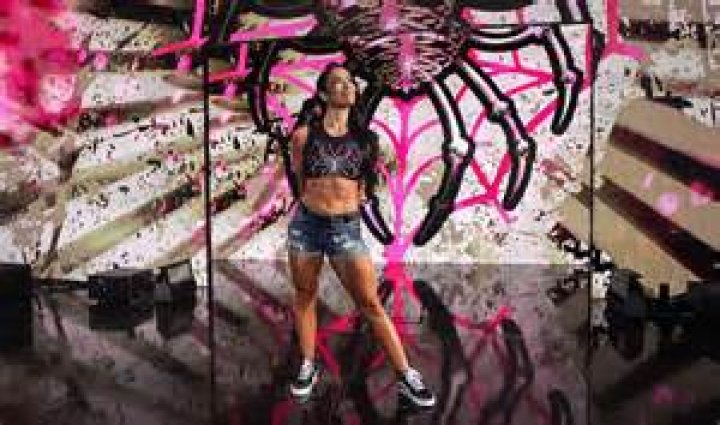 AJ Lee's Anticipated Return In 2024: What Fans Can Expect