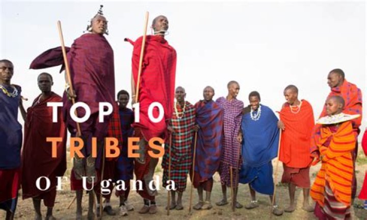Exploring The Top 20 Largest Tribes In Nigeria