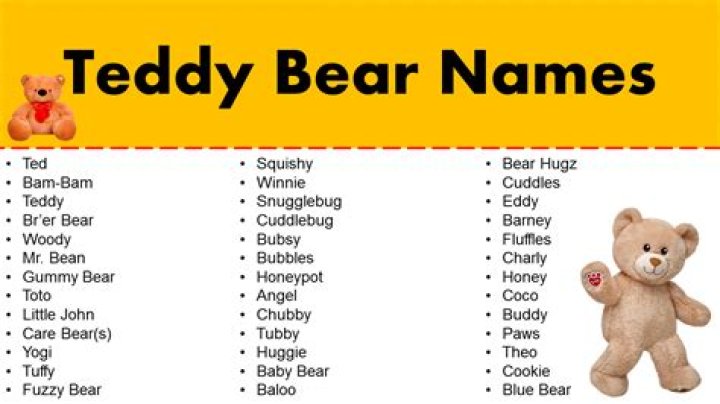 Exploring The World Of Famous Bear Names