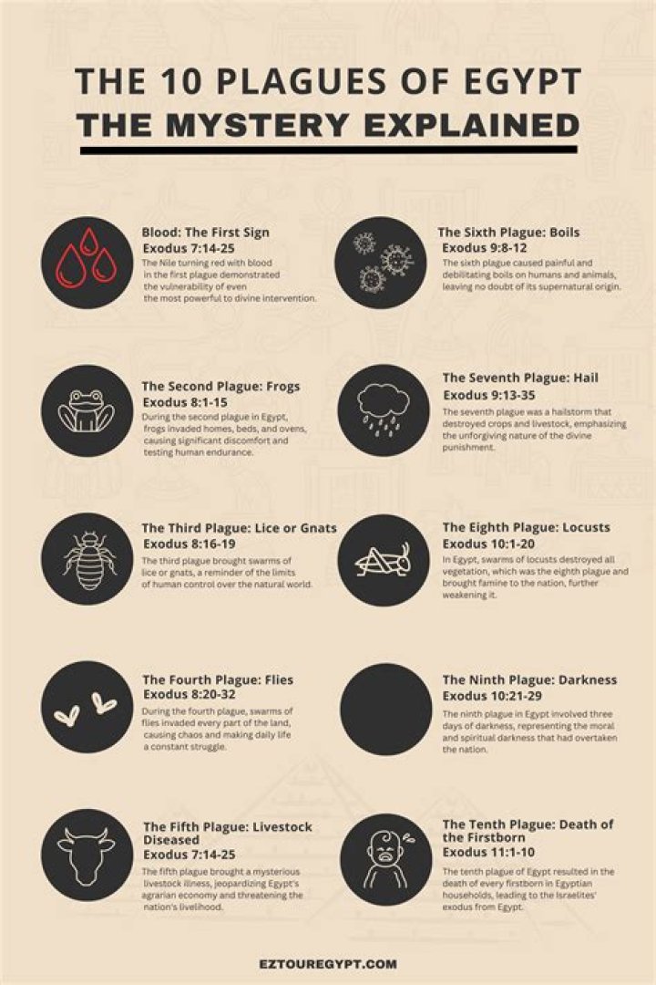 The Baffling Mystery: What Ailment Plagues Hasbulla?