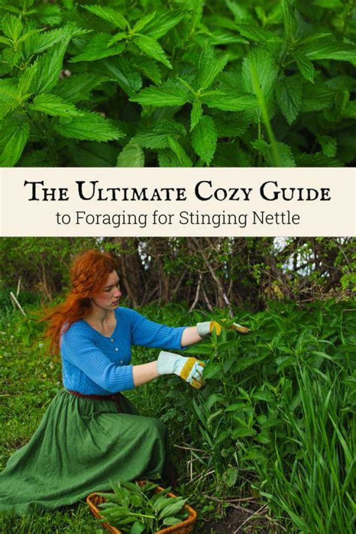 Ultimate Guide To John Nettles' Height In Feet